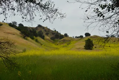 DSC_6300 (Large).JPG